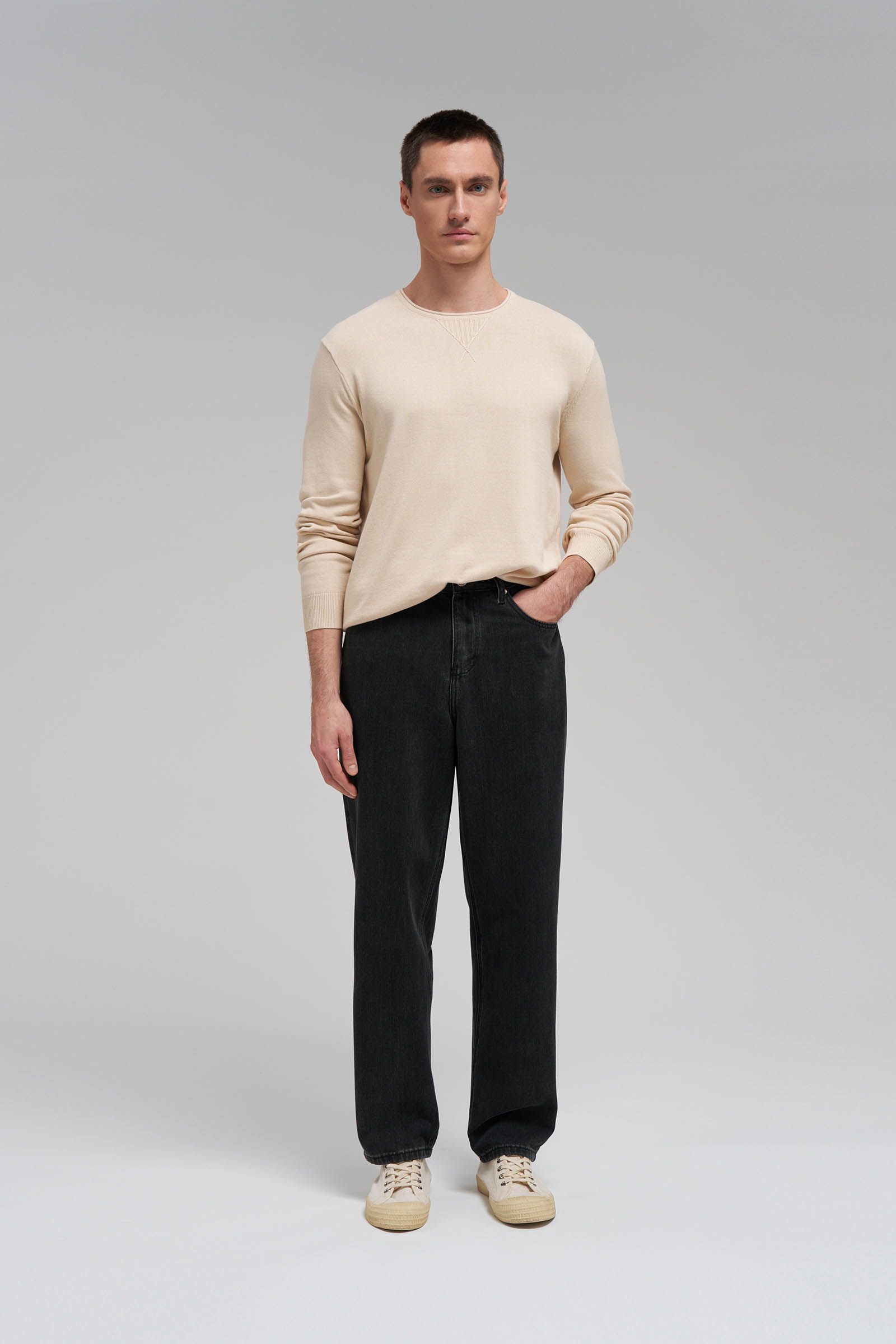 Джемпер мужской Finn Flare, 705 angora, арт. BAS-20133