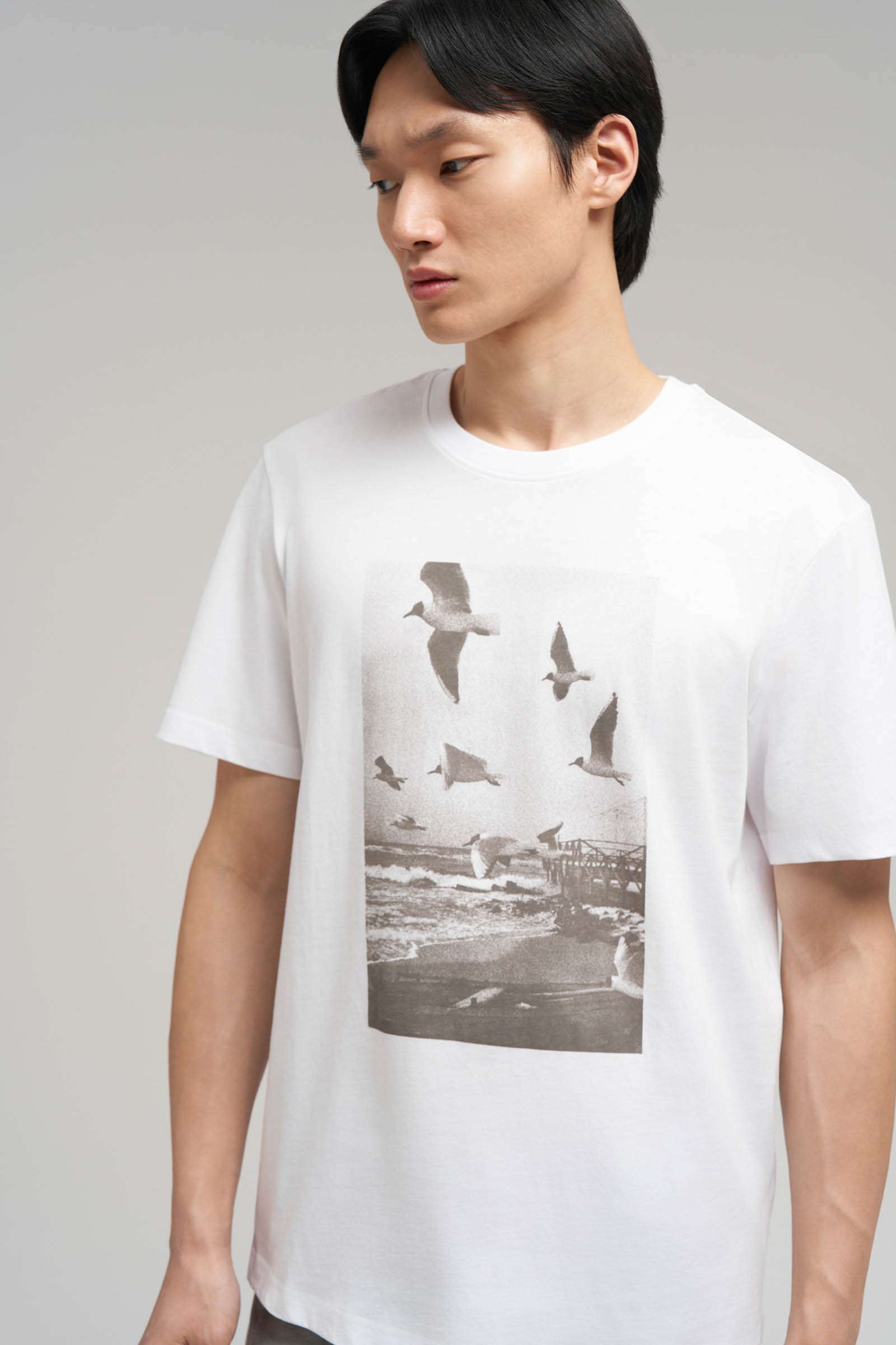 

Футболка regular fit из хлопкового джерси, 201 white, Футболка regular fit из хлопкового джерси