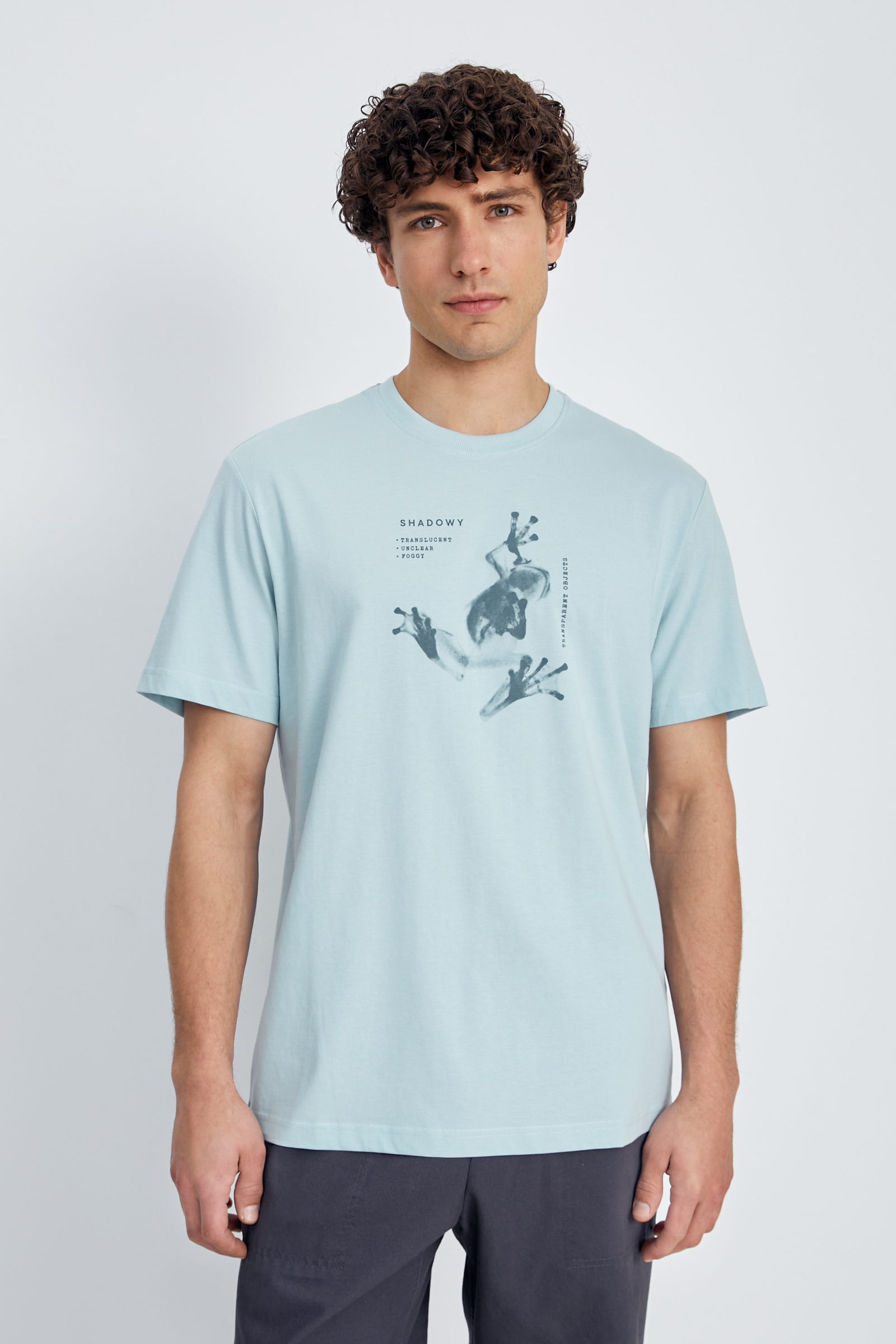 

Свободная футболка с принтом, 516 seladon, Свободная футболка с принтом