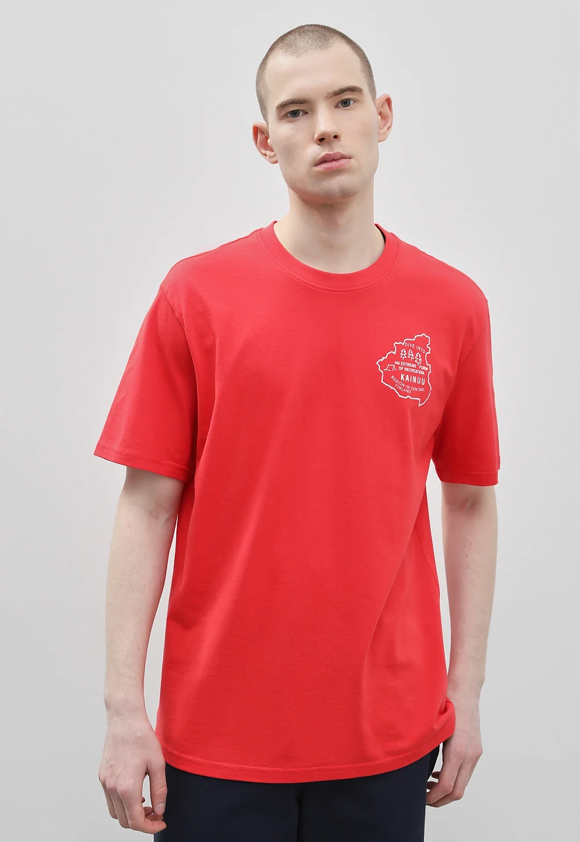 Футболка из хлопка с принтом, Модель FBD210103-1P, Фото №1