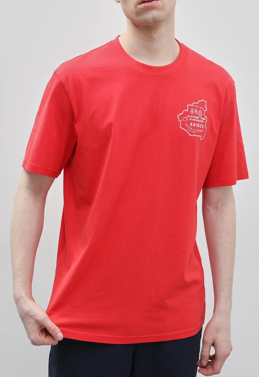 Футболка из хлопка с принтом, Модель FBD210103-1P, Фото №3