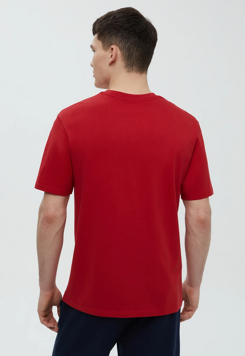 Футболка из хлопка с принтом Красный FBF21073Купить в интернет-магазине FINN FLARE, предосмотр фото №5 Футболка из хлопка с принтом, Модель FBF21073, Фото №5